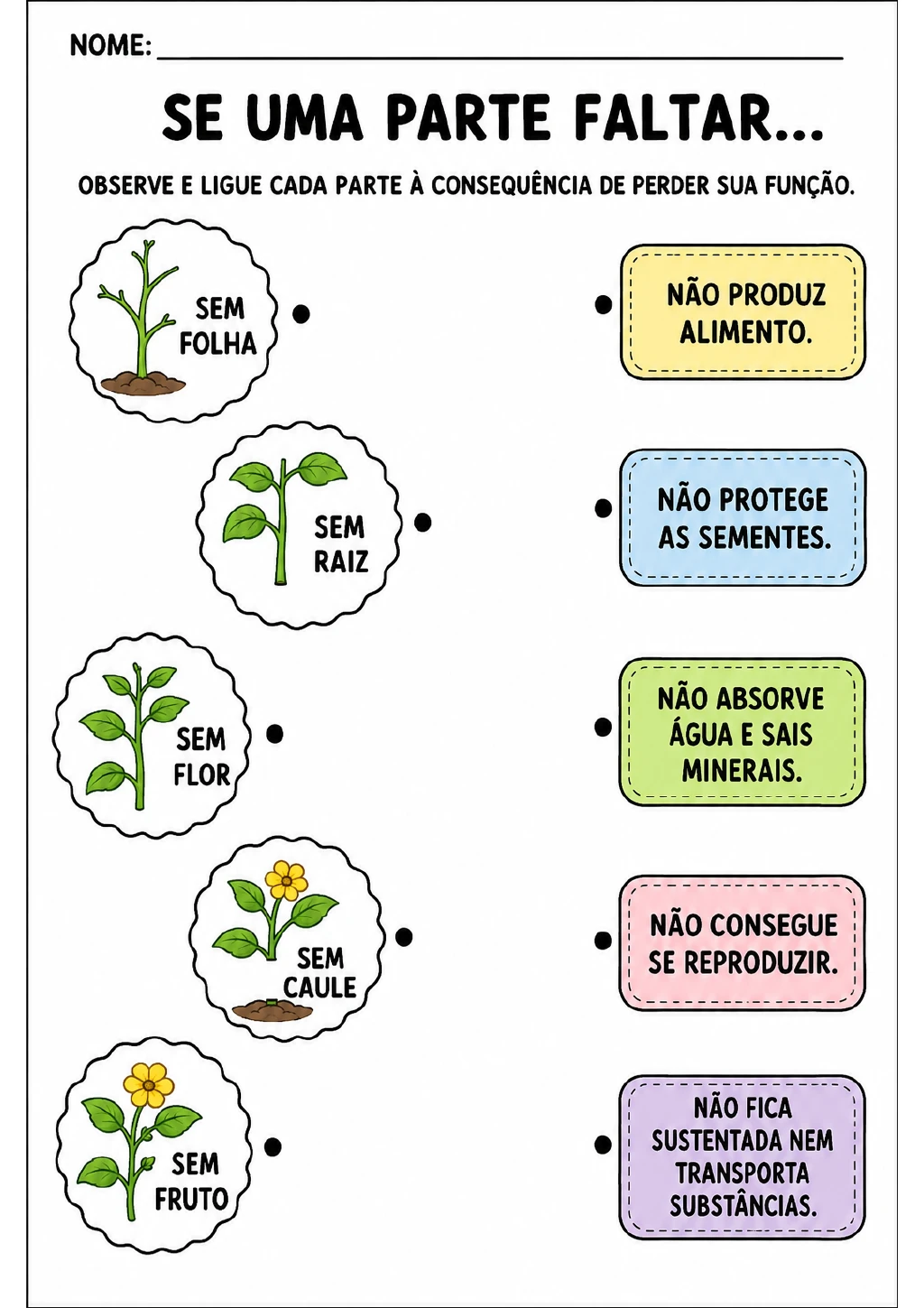 Cinco ilustrações mostram plantas sem folha, raiz, flor, caule ou fruto, acompanhadas de cinco cartões coloridos tracejados.