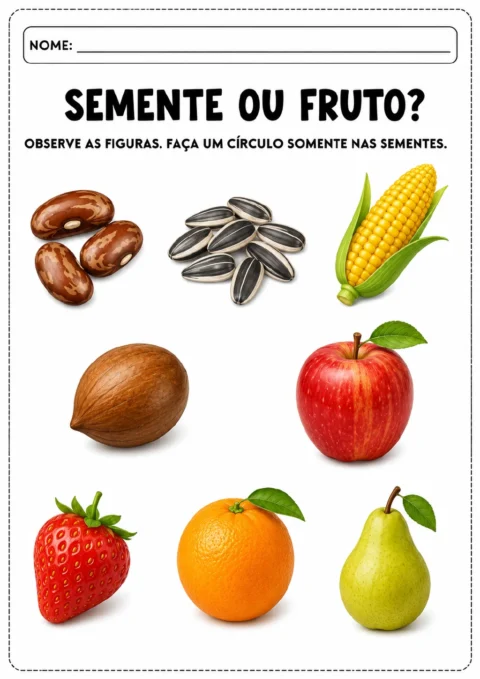 Oito ilustrações coloridas de feijões, sementes de girassol, espiga de milho, coco, maçã, morango, laranja e pera, com a instrução para circular sementes.