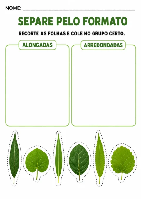 Seis folhas coloridas com contornos tracejados para recorte e dois campos identificados como folhas alongadas e arredondadas.