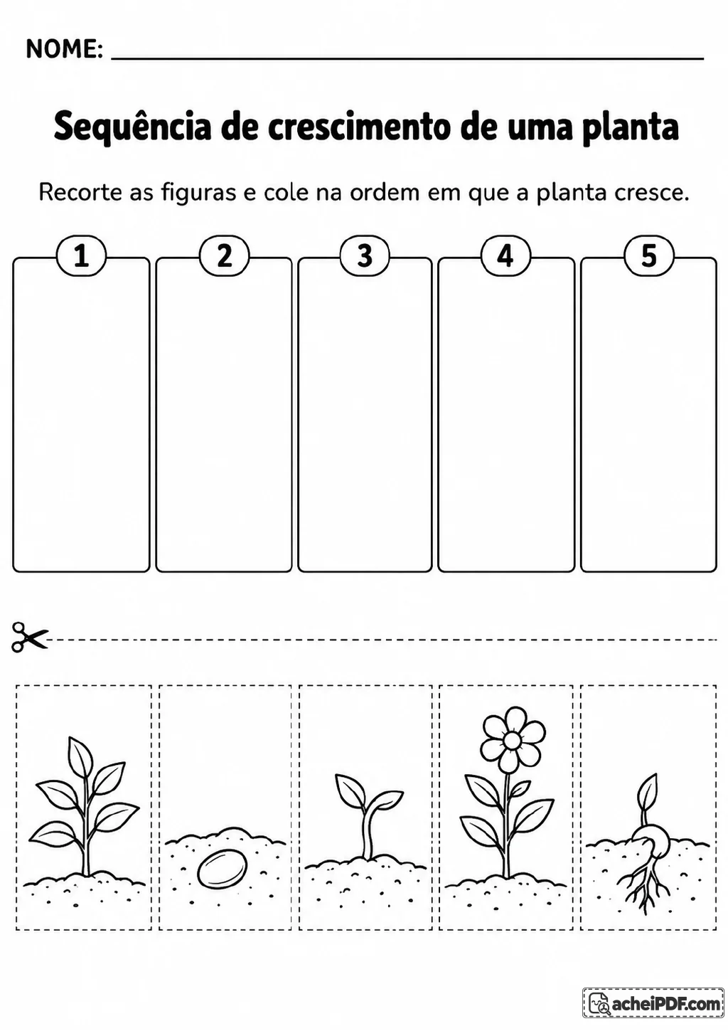 Cinco cartões tracejados para recortar, com semente, germinação, broto, planta jovem e flor.