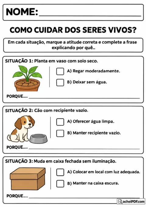 Planta em vaso com solo seco, cão ao lado de um recipiente vazio e muda em uma caixa fechada.