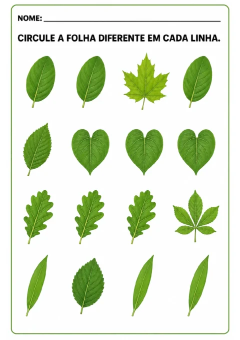 Quatro linhas com quatro folhas verdes de formatos oval, em coração, lobado e comprido. Em cada linha.