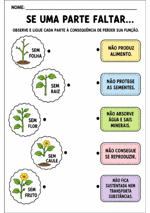 Cinco ilustrações mostram plantas sem folha, raiz, flor, caule ou fruto, acompanhadas de cinco cartões coloridos tracejados.