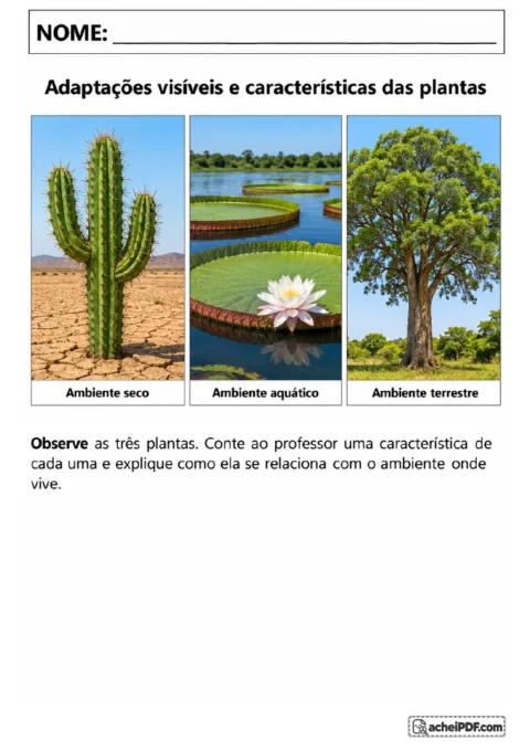 Três painéis mostram um cacto em ambiente seco, uma vitória-régia em ambiente aquático e uma árvore em ambiente terrestre.