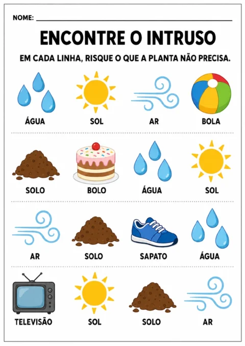 Quatro linhas com grupos de itens que incluem água, sol, ar e solo. Em cada linha há um intruso: bola, bolo.