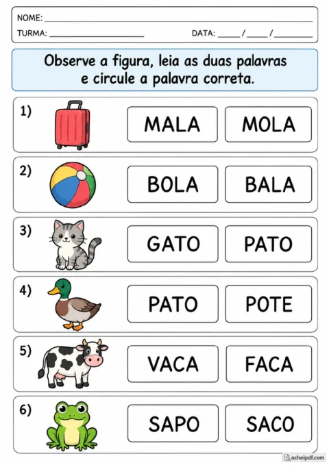Seis figuras de mala, bola, gato, pato, vaca e sapo, cada uma acompanhada de duas palavras em caixas para circular a opção.