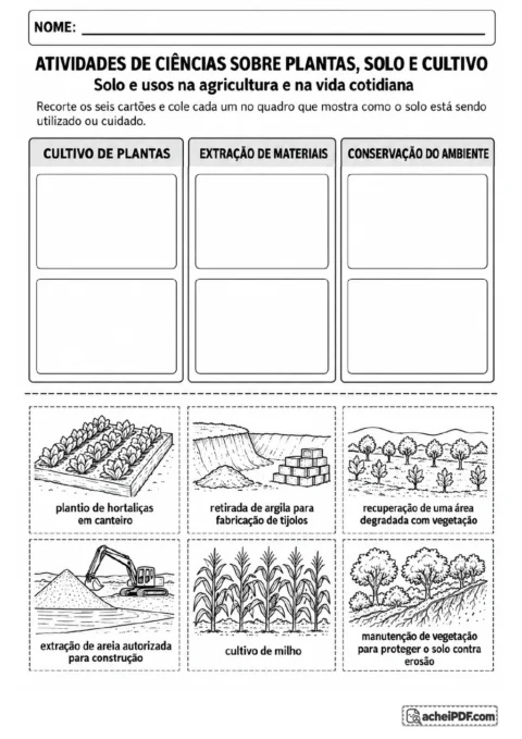 Três colunas intituladas Cultivo de plantas, Extração de materiais e Conservação do ambiente, com dois espaços cada.