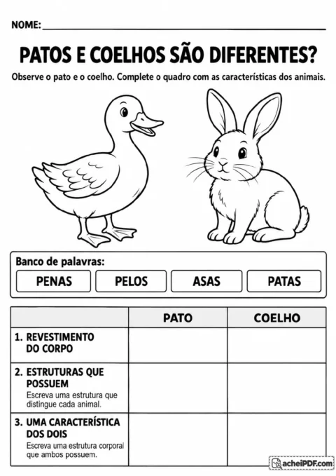 Ilustrações de um pato e um coelho ao lado de uma tabela comparativa e de um banco de palavras com penas.