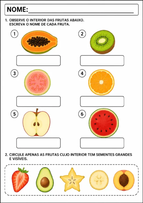 Cortes de mamão, kiwi, goiaba, laranja, maçã e melancia, com campos para escrever os nomes. Abaixo.