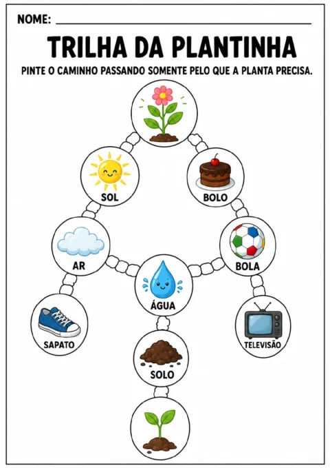Trilha entre uma flor e uma muda, composta por círculos com sol, ar, água, solo, bolo, bola, sapato e televisão.