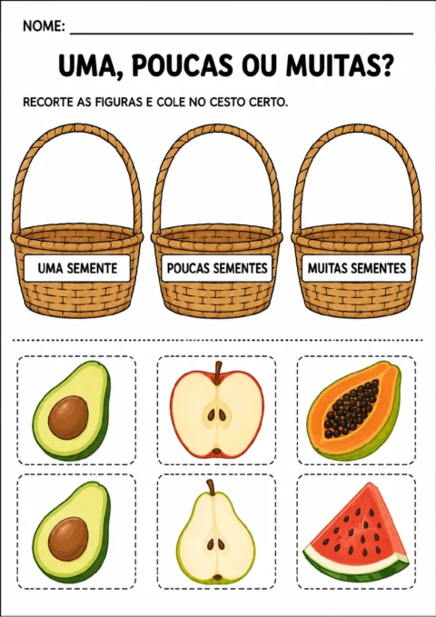 Três cestos identificados como “uma semente”, “poucas sementes” e “muitas sementes”.