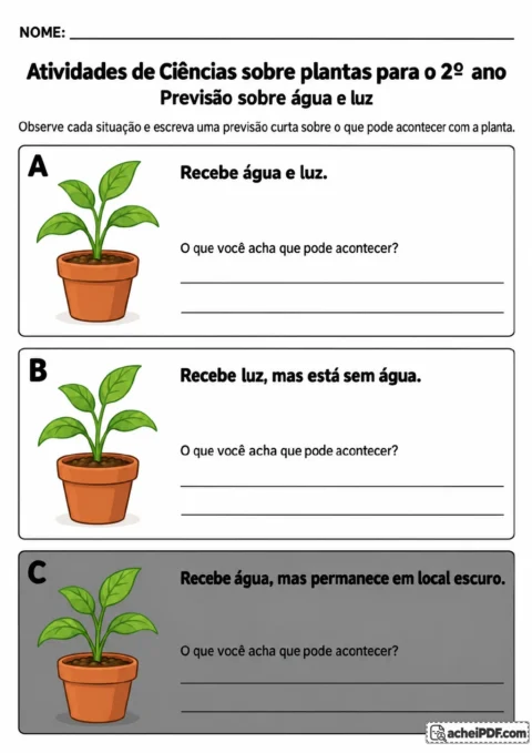 Três quadros coloridos identificados por A, B e C com vasos de plantas: uma recebe água e luz.