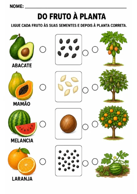 Três colunas para associação: abacate, mamão, melancia e laranja; quatro caixas com sementes; e abacateiro, mamoeiro.