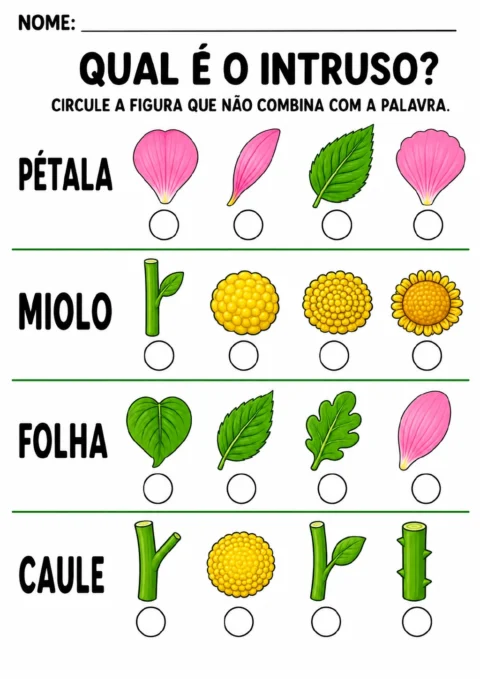 Quatro fileiras de figuras identificadas pelas palavras pétala, miolo, folha e caule.