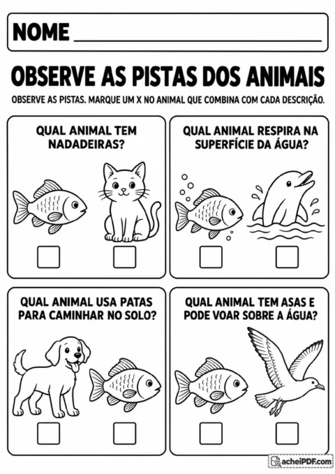 Quatro pistas com nadadeiras, respiração na água, patas e asas para marcar o animal correspondente.