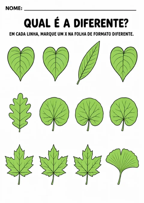 Três linhas com quatro folhas verdes cada uma, em formatos alongados, lobados, de leque e de coração.
