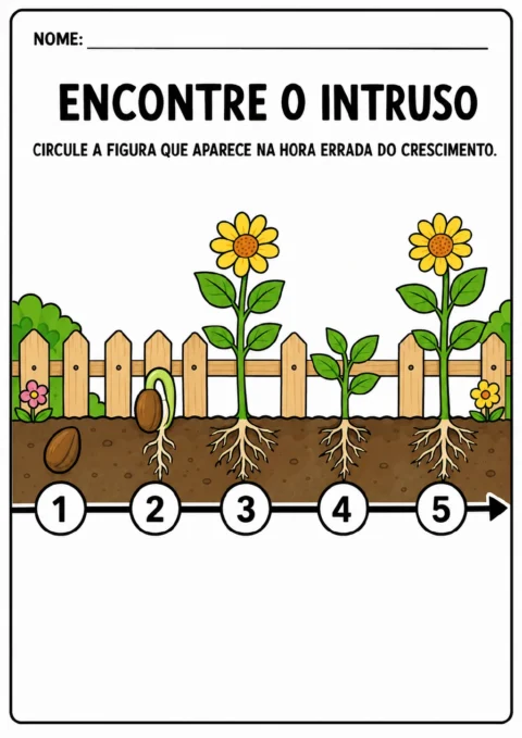 Sequência horizontal com cinco posições numeradas e uma seta indicando o sentido.