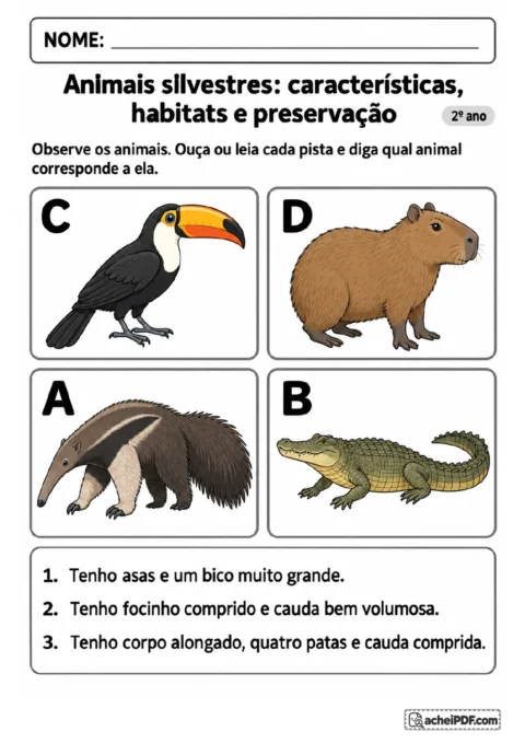 Quatro quadros identificados por A, B, C e D mostram tucano, capivara, tamanduá e jacaré.
